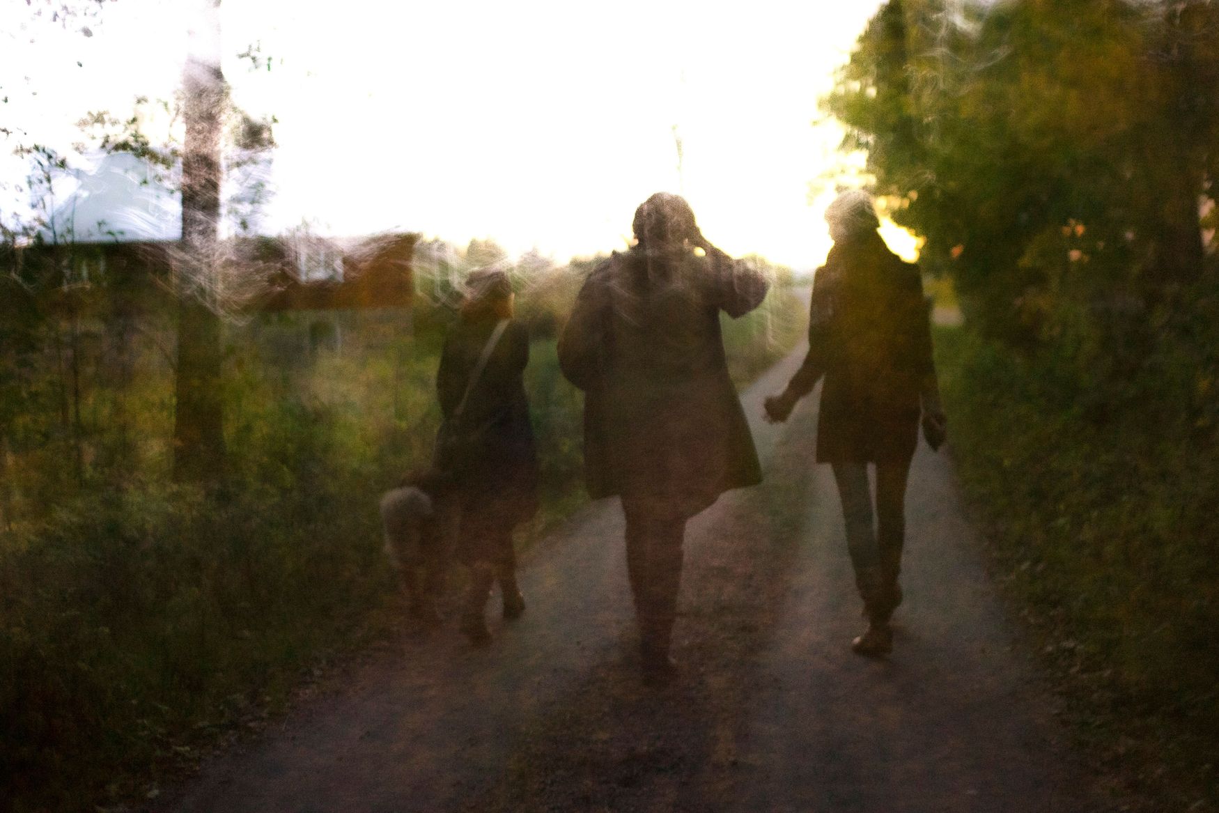 Ruiner/Flagor: Festival i Tranemo