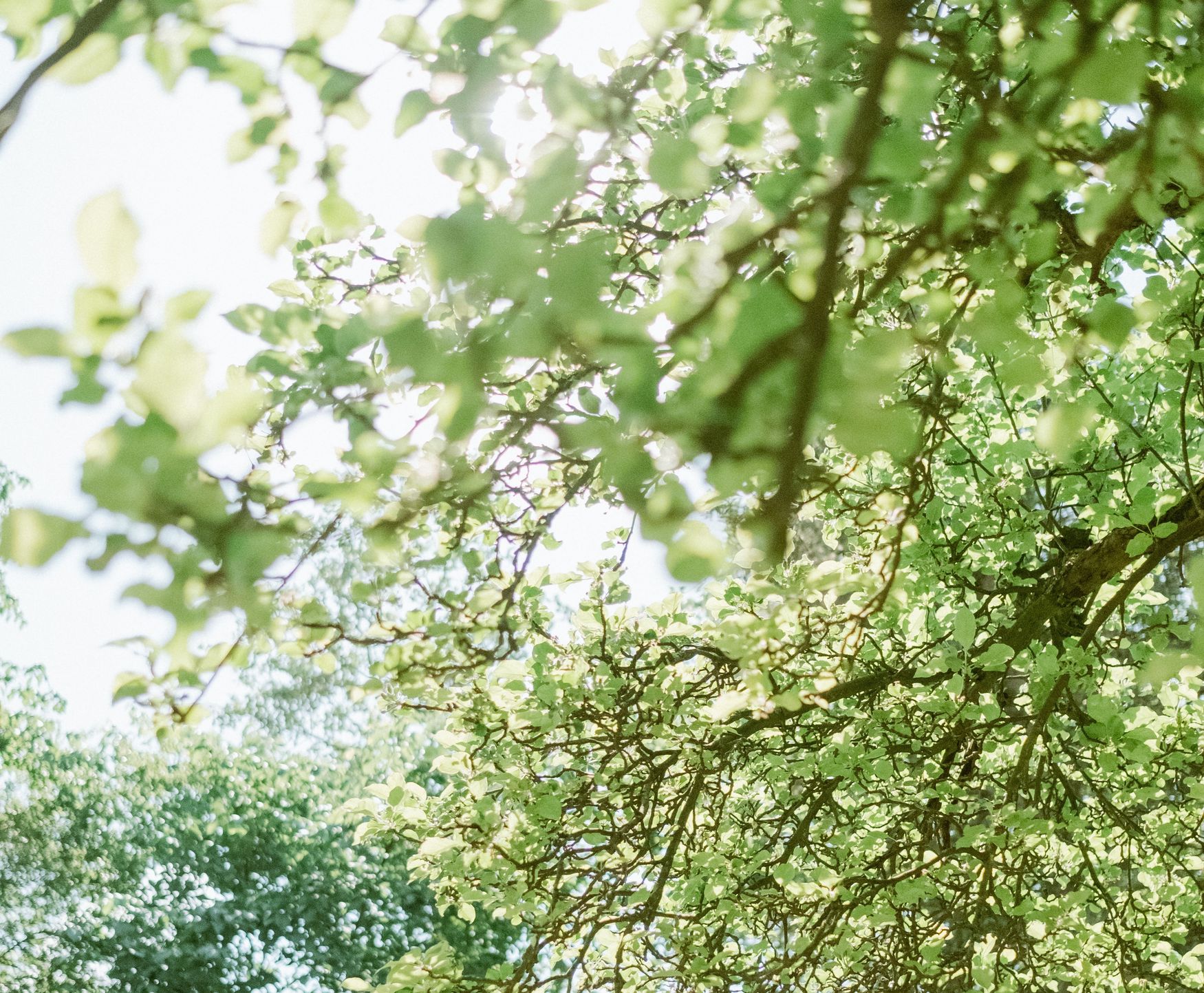 Open call: Det hörs när du skriver